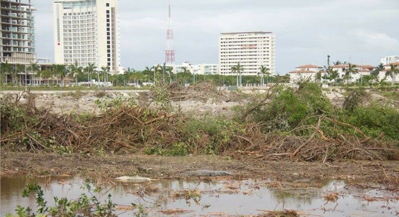 Desarrollos de Q. Roo acumulan irregularidades en procesos de construcción: PPA