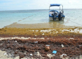 Se agudiza desequilibrio ambiental en Banco Chinchorro