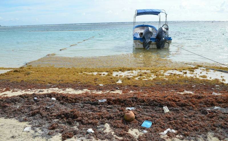 Se agudiza desequilibrio ambiental en Banco Chinchorro