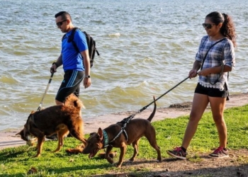 ((FOTOS)) Realizan caminata entre amigos