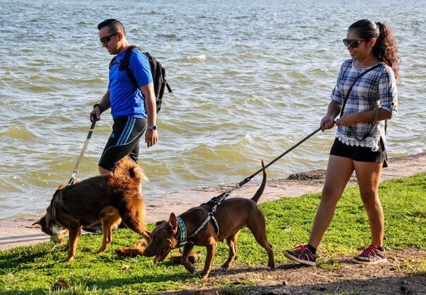 ((FOTOS)) Realizan caminata entre amigos