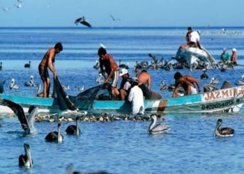 Pescadores de Banco Chinchorro piden mayor inspección contra competencia furtiva