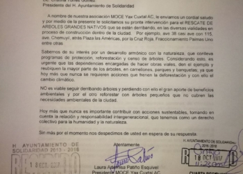 Asociación Civil alza la voz en auxilio de árboles emblemáticos
