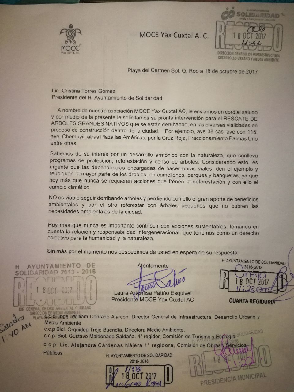 Asociación Civil alza la voz en auxilio de árboles emblemáticos