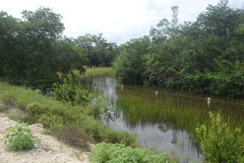 Cultivos de la Vía Corta en riesgo de perderse por exceso de agua pluvial