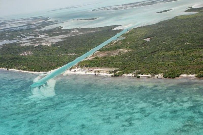 Analizan ingreso de nuevas especies a la Bahía por el Canal de Zaragoza