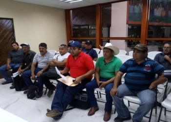 SEDARPE y su titular juegan chueco a productores de piña de Bacalar