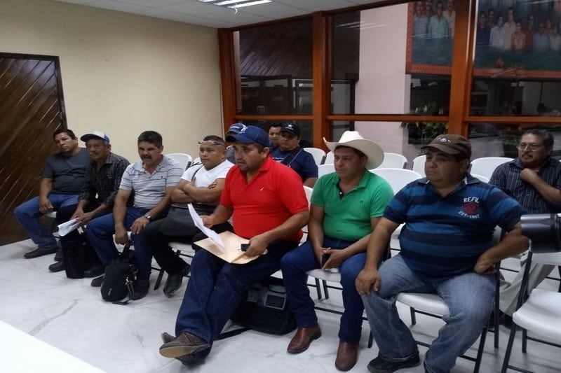 SEDARPE y su titular juegan chueco a productores de piña de Bacalar