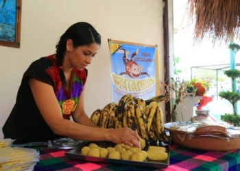 Consolida Solidaridad apertura de pequeñas y medianas empresas