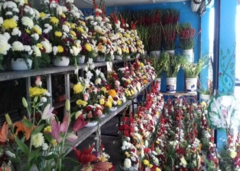 Celebración de Día de Muertos «revive» florerías de Chetumal