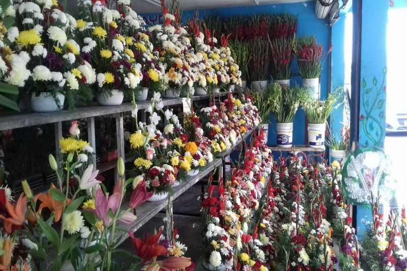Celebración de Día de Muertos «revive» florerías de Chetumal