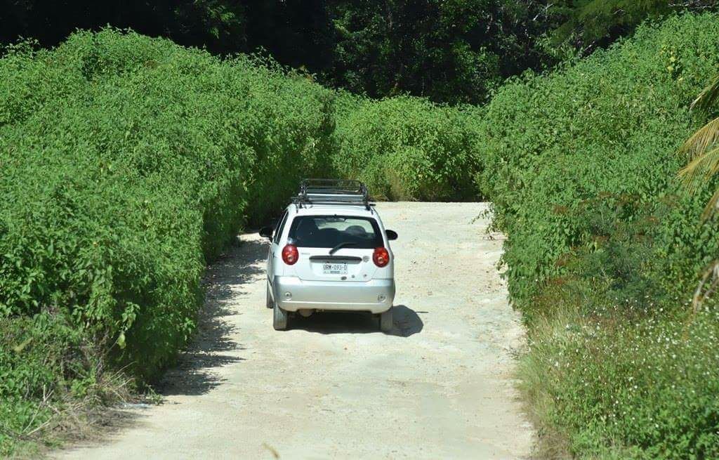 Pobladores exigen se concluya camino de acceso a Cancepchen
