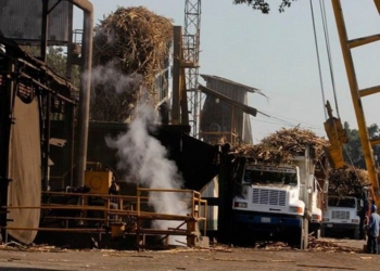 Cañeros de Q. Roo, los más malos del país en producción de Karbe