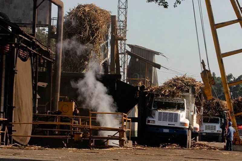 Cañeros de Q. Roo, los más malos del país en producción de Karbe