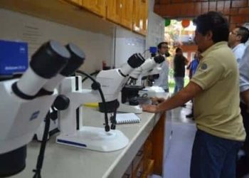 Recortes podrían impactar en investigaciones de estudiantes de ECOSUR