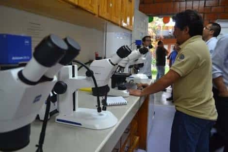 Recortes podrían impactar en investigaciones de estudiantes de ECOSUR