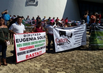 Galleros exigen a diputada panista actuar a favor de las tradiciones, y no en contra de ellas