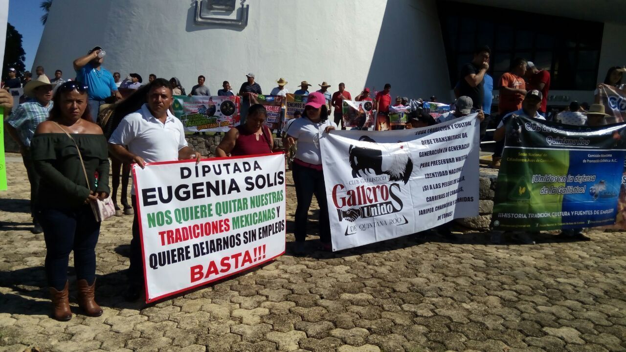 Galleros exigen a diputada panista actuar a favor de las tradiciones, y no en contra de ellas