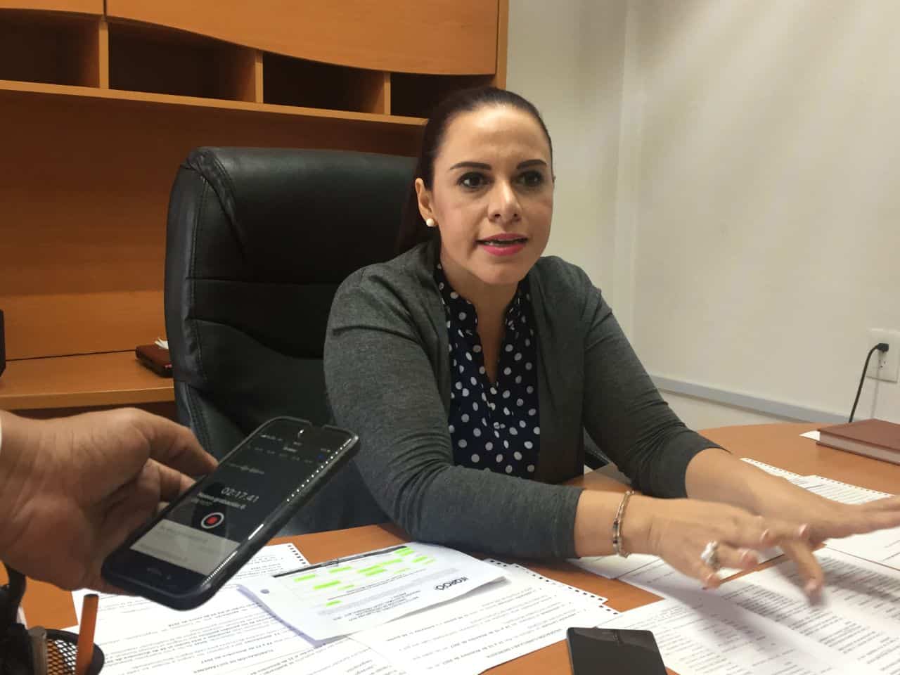 Oferta IEQROO 88 fuentes de ingreso en cargos para los 11 Consejos Municipales de Q. Roo