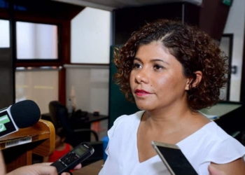 Al Pleno, elección de magistrados del TJA y Ombusdman: Leslie Hendricks