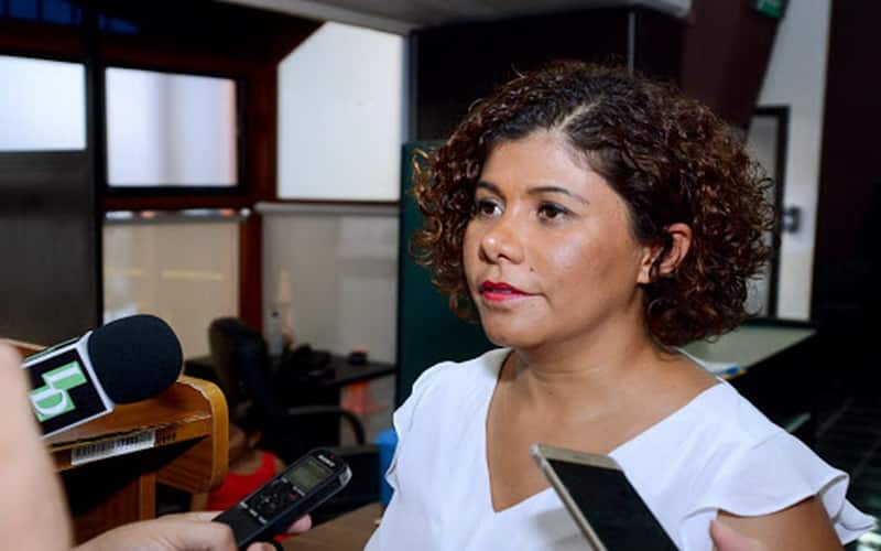 Al Pleno, elección de magistrados del TJA y Ombusdman: Leslie Hendricks