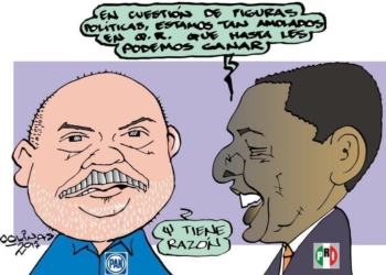 COLINAS: Vacas extremadamente flacas