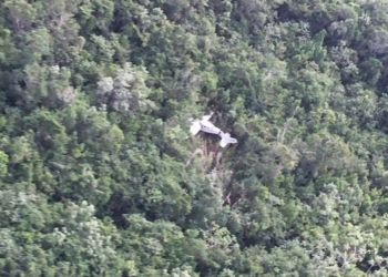 Cae avioneta con turistas en Playa del Carmen; pasajeros sobreviven