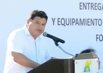 Hasta febrero, posible licencia de Luis Torres para ir por una Diputación Federal