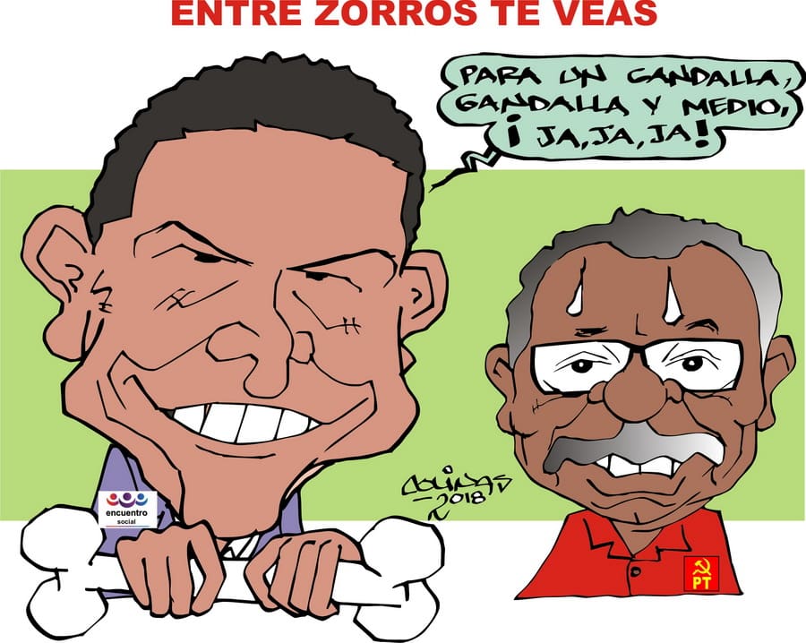 COLINAS: Entre zorros te veas