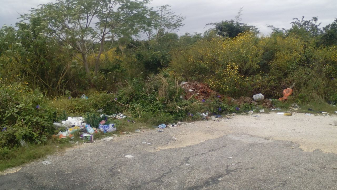 Lotes baldíos, el dolor de cabeza de colonos carrilloportenses