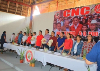 Gobierno de Bacalar gestiona fortalecimiento del sector agrícola