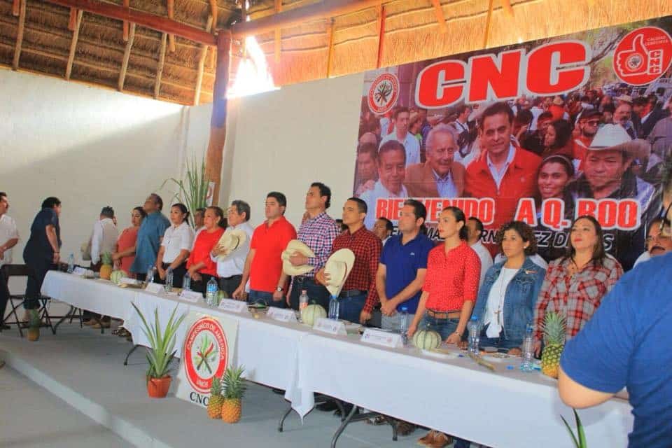 Gobierno de Bacalar gestiona fortalecimiento del sector agrícola