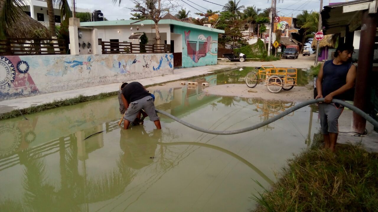 En medio de la «mierda», recibe Holbox 6 mil visitantes al día en la actual temporada