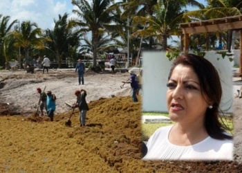¿Sargazo, donde?…a mí nadie me ha dicho: Diputada presidenta de la Comisión de Turismo