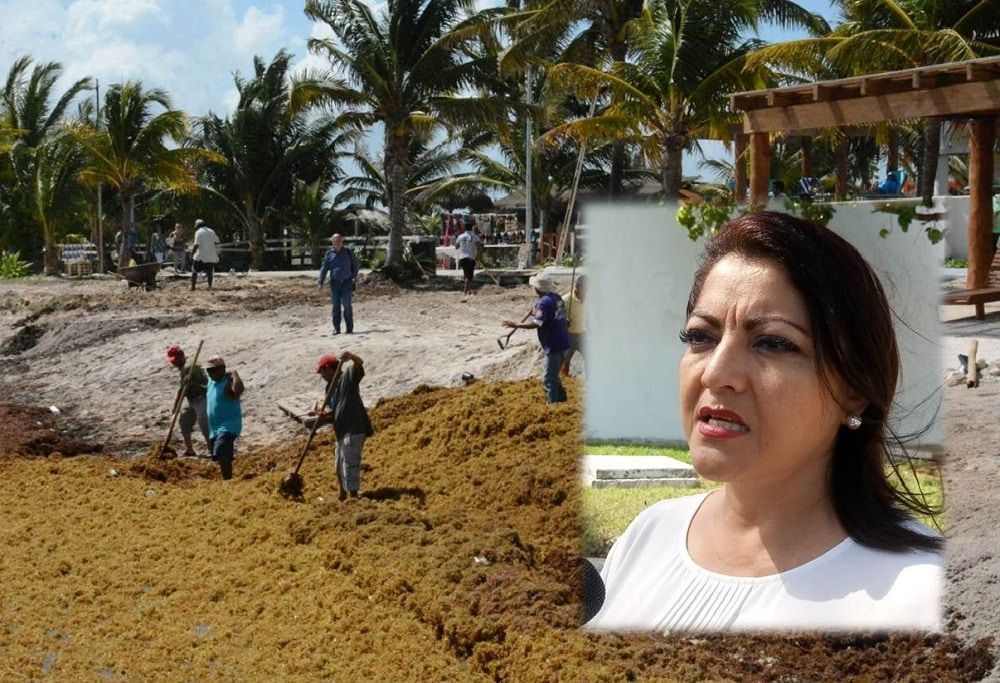 ¿Sargazo, donde?…a mí nadie me ha dicho: Diputada presidenta de la Comisión de Turismo