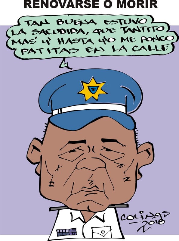 COLINAS: Renovarse o morir