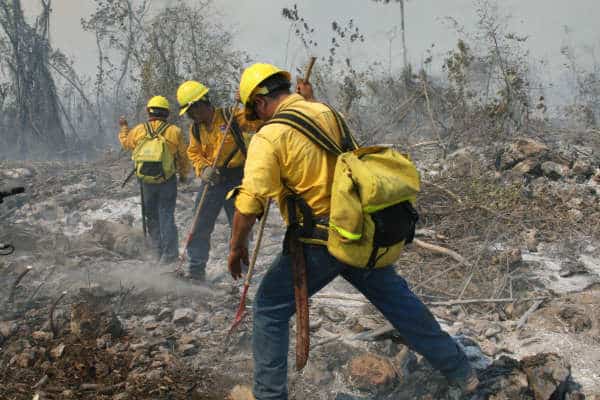 En veda por 20 años, 18 mil hectáreas de selva quintanarroense