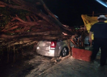 Lluvia causa daños en vehículos y viviendas