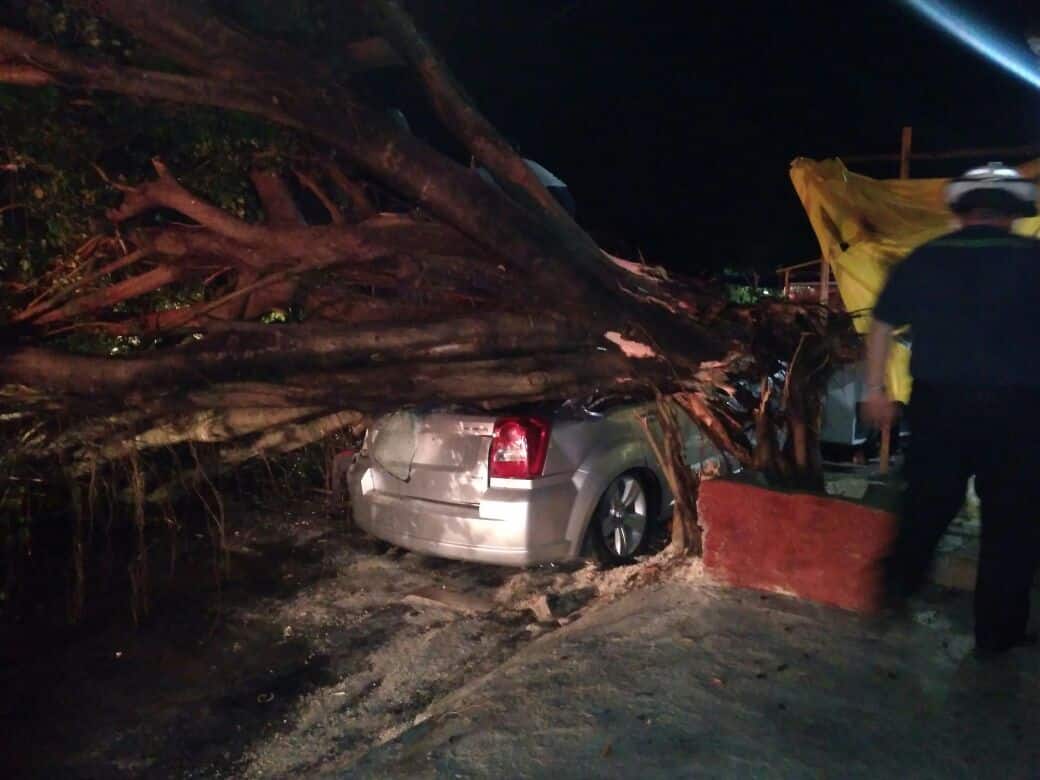 Lluvia causa daños en vehículos y viviendas