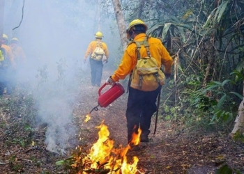 Riesgo por incendios forestales, a la alza durante el mes de abril