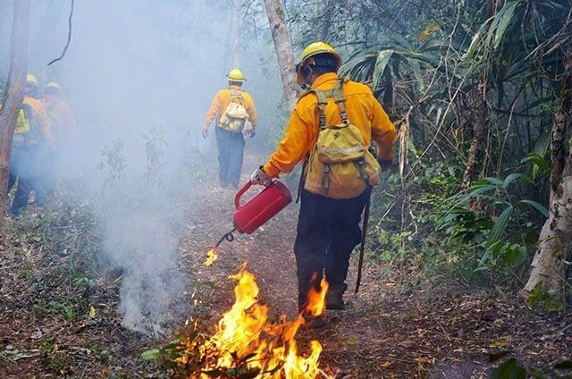 Riesgo por incendios forestales, a la alza durante el mes de abril