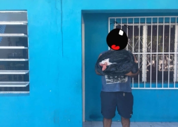 Por muerte de una mascota, denuncian irresponsabilidad de ‘Veterinaria Master Dog’