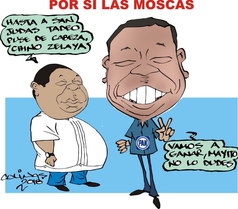 COLINAS: Por si las moscas