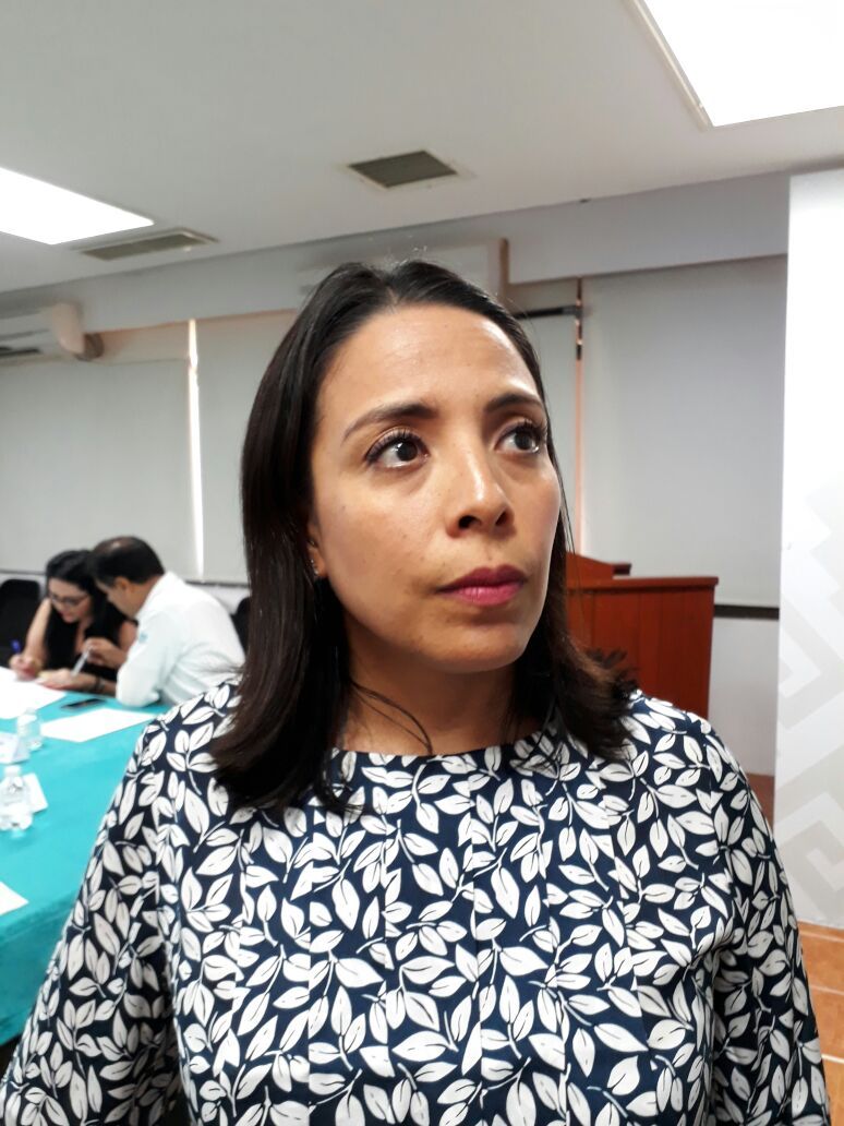 SEAV presenta informe de resultados. Zona norte, la más preocupante