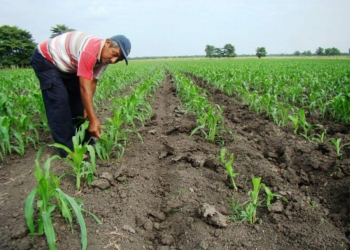 Proyectos para el campo, frenados por veda electoral
