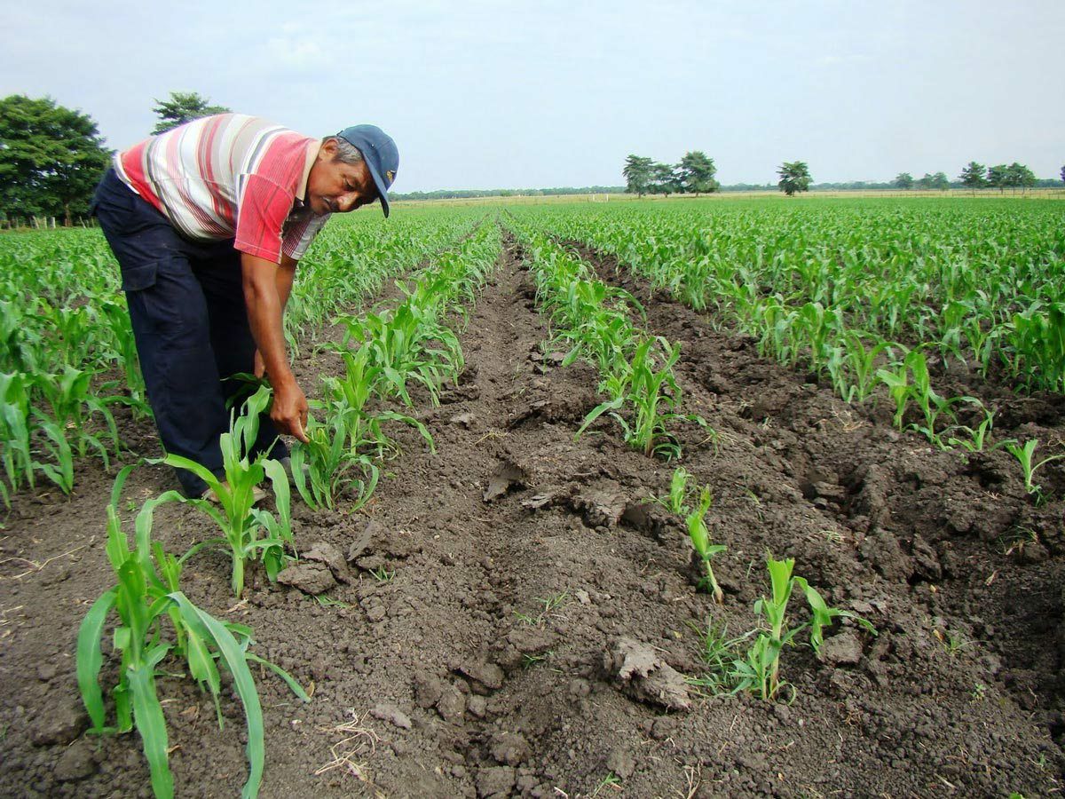 Proyectos para el campo, frenados por veda electoral