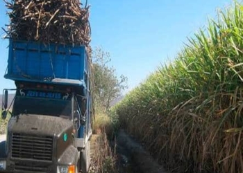 Ingenio de Puc-té sigue dando guerra, fallas en máquinas alarga producción de azúcar
