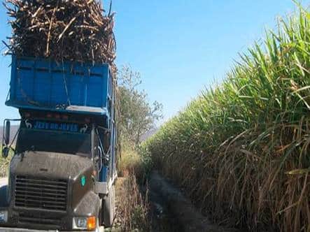 Ingenio de Puc-té sigue dando guerra, fallas en máquinas alarga producción de azúcar