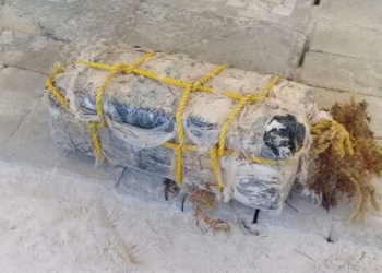 La Secretaría De Marina-Armada De México Asegura Presunta Droga en Punta Pájaros, Quintana Roo
