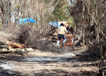 ‘Hace justicia la Revolución’ a invasores. Nace colonia Antorchista en Bacalar